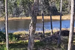 927 Ashueot Dr, Washington, NH 03280 - Photo 3