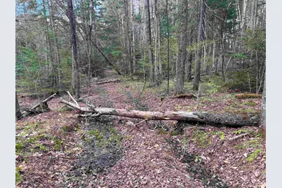 00 Boynton Road, Londonderry, VT 05148 - Photo 11