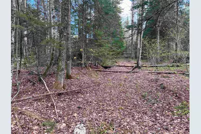 00 Boynton Road, Londonderry, VT 05148 - Photo 9