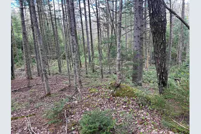 00 Boynton Road, Londonderry, VT 05148 - Photo 13