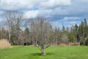 2810 Underpass Rd, Sutton, VT 05867 - Photo 39