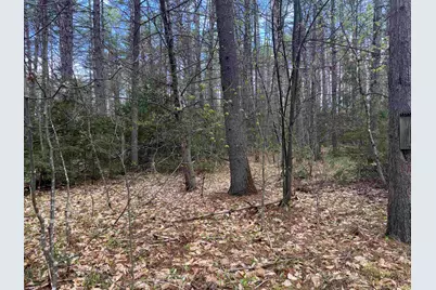 0 Riverwood Circle #12, Effingham, NH 03882 - Photo 11
