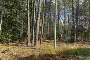 0 Riverwood Cir, Effingham, NH 03882 - Photo 1