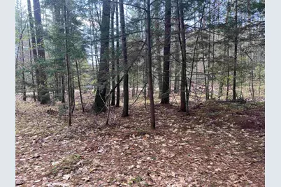 0 Riverwood Circle #12, Effingham, NH 03882 - Photo 17