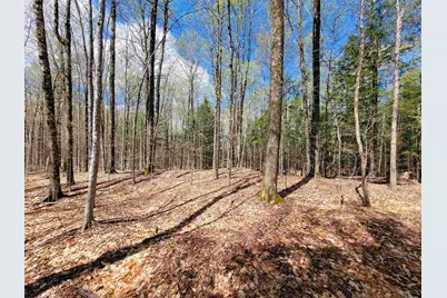 667 Cemetery Street, Brookfield, VT 05036 - Photo 41