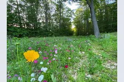 167 Peck Lane, Westminster, VT 05158 - Photo 55