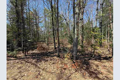 Lot 14 Partridgeberry Circle #14, Tuftonboro, NH 03816 - Photo 3