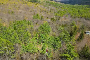 166 Kilton Pond Rd, Grafton, NH 03240 - Photo 19