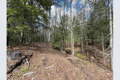 Tunnel Road, Grafton, NH 03240 - Photo 11