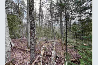 Tbd Center Pond Road, Newark, VT 05871 - Photo 7