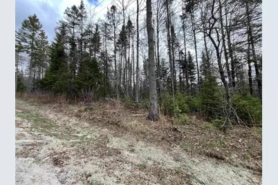 Tbd Center Pond Road, Newark, VT 05871 - Photo 3