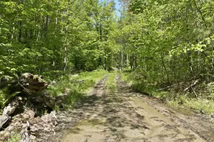 20 Fortsalong Rd, Meredith, NH 03253 - Photo 1