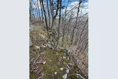 493 Wheeler Mountain Road, Barton, VT 05822 - Photo 27