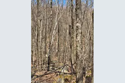493 Wheeler Mountain Road, Barton, VT 05822 - Photo 23