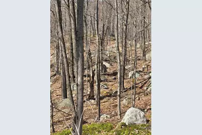 493 Wheeler Mountain Road, Barton, VT 05822 - Photo 19