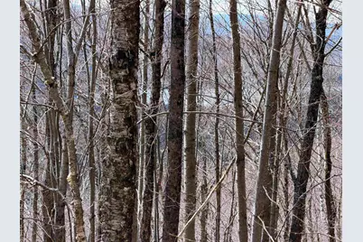 493 Wheeler Mountain Road, Barton, VT 05822 - Photo 21