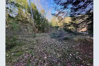 0 Branch Brook Road, Groton, VT 05046 - Photo 5