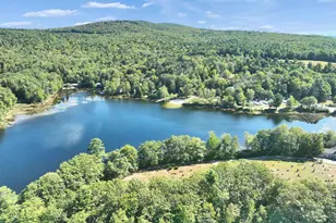 65 Nelson Rd, Harrisville, NH 03450 - Photo 49