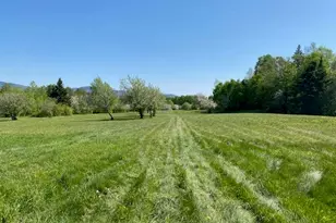 Off Reed Rd, Colebrook, NH 03576 - Photo 1