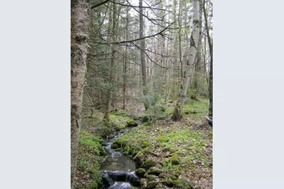 111 Paine Road, Easton, NH 03580 - Photo 7