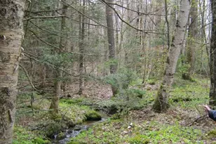 111 Paine Rd, Easton, NH 03580 - Photo 7