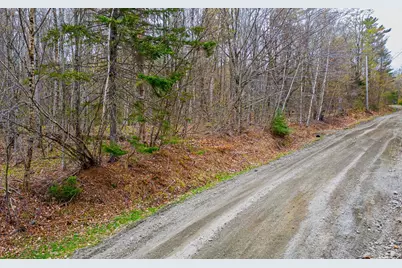 1053 Miller Pond Road, Grantham, NH 03753 - Photo 5
