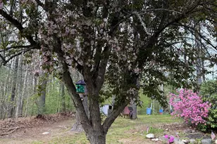 4 Sunset Dr, Londonderry, NH 03053 - Photo 31