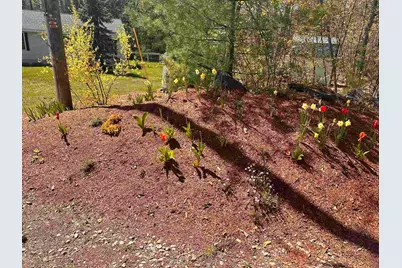378 Silver Street, Middleton, NH 03887 - Photo 51