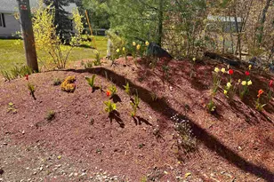 378 Silver St, Middleton, NH 03887 - Photo 51
