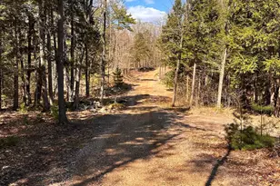 378 Silver St, Middleton, NH 03887 - Photo 49