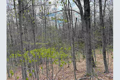 0 East Hill Road, Andover, VT 05143 - Photo 3