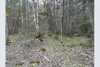 0 East Hill Road, Andover, VT 05143 - Photo 7