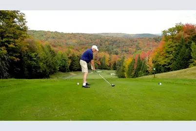 14 Bay Tree Lane, Grantham, NH 03753 - Photo 41