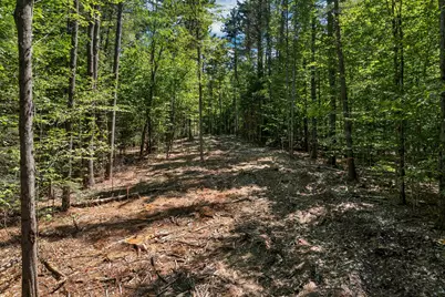 619 Route 103A #38, New London, NH 03257 - Photo 7