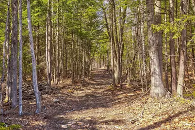 207 Durrell Mountain Road, Belmont, NH 03220 - Photo 35