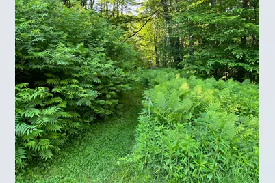 6 Oak Ridge Road #30, Lebanon, NH 03784 - Photo 37
