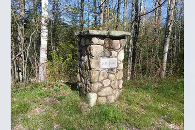 224 Walker Road, Grantham, NH 03753 - Photo 57