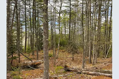 Tm 413 L 99 King Road, Alexandria, NH 03222 - Photo 27