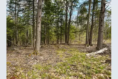 Tm 413 L 99 King Road, Alexandria, NH 03222 - Photo 37