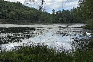 16 Old Manchester Rd, Amherst, NH 03031 - Photo 55