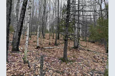 38 F Lang Road, Bath, NH 03740 - Photo 25