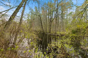 149 Pheasant Run Dr, Chester, NH 03036 - Photo 31