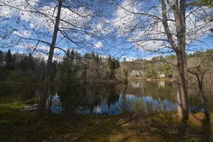 12 Old Spring Dr, Grantham, NH 03753 - Photo 17