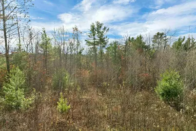 Lady Slipper Lot 7 Lane, Moultonborough, NH 03254 - Photo 3