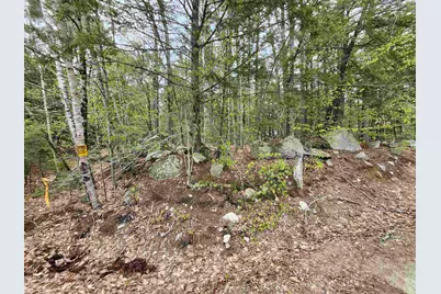 101-15 North Shore Road, New Durham, NH 03855 - Photo 13