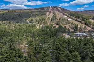 124 Old Bartlett Rd, Conway, NH 03860 - Photo 47