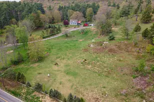 295 Manning Hill Rd, Winchester, NH 03470 - Photo 55