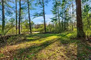 5 Spicebush Cir, Litchfield, NH 03052 - Photo 43