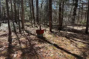 19 Sunrise Hill Rd, Thornton, NH 03285 - Photo 1