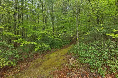 441 Ponemah Road, Milford, NH 03055 - Photo 43